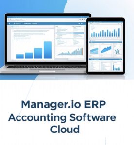 Manager.io ERP Accounting Software Cloud (Additional Users Annual Subscription)	Mcloud
